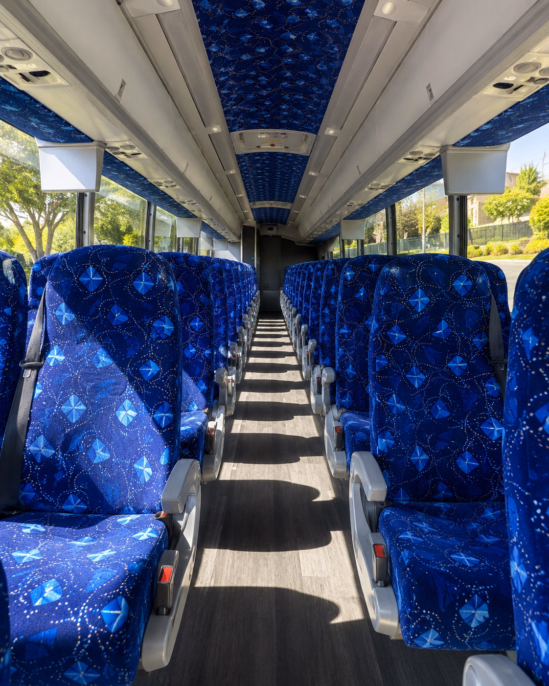 compare buses in minutes not days