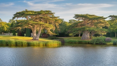 cypress gardens