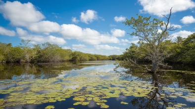 everglades national park