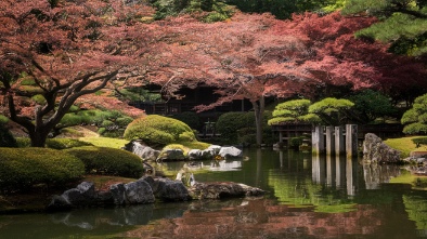 japanese gardens